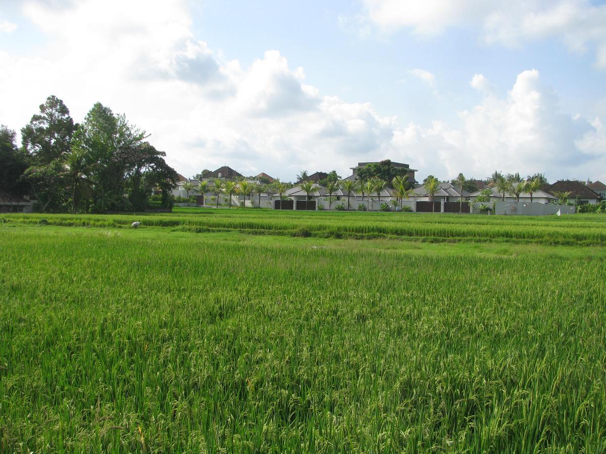 Pondok Mesari House Убуд Екстериор снимка