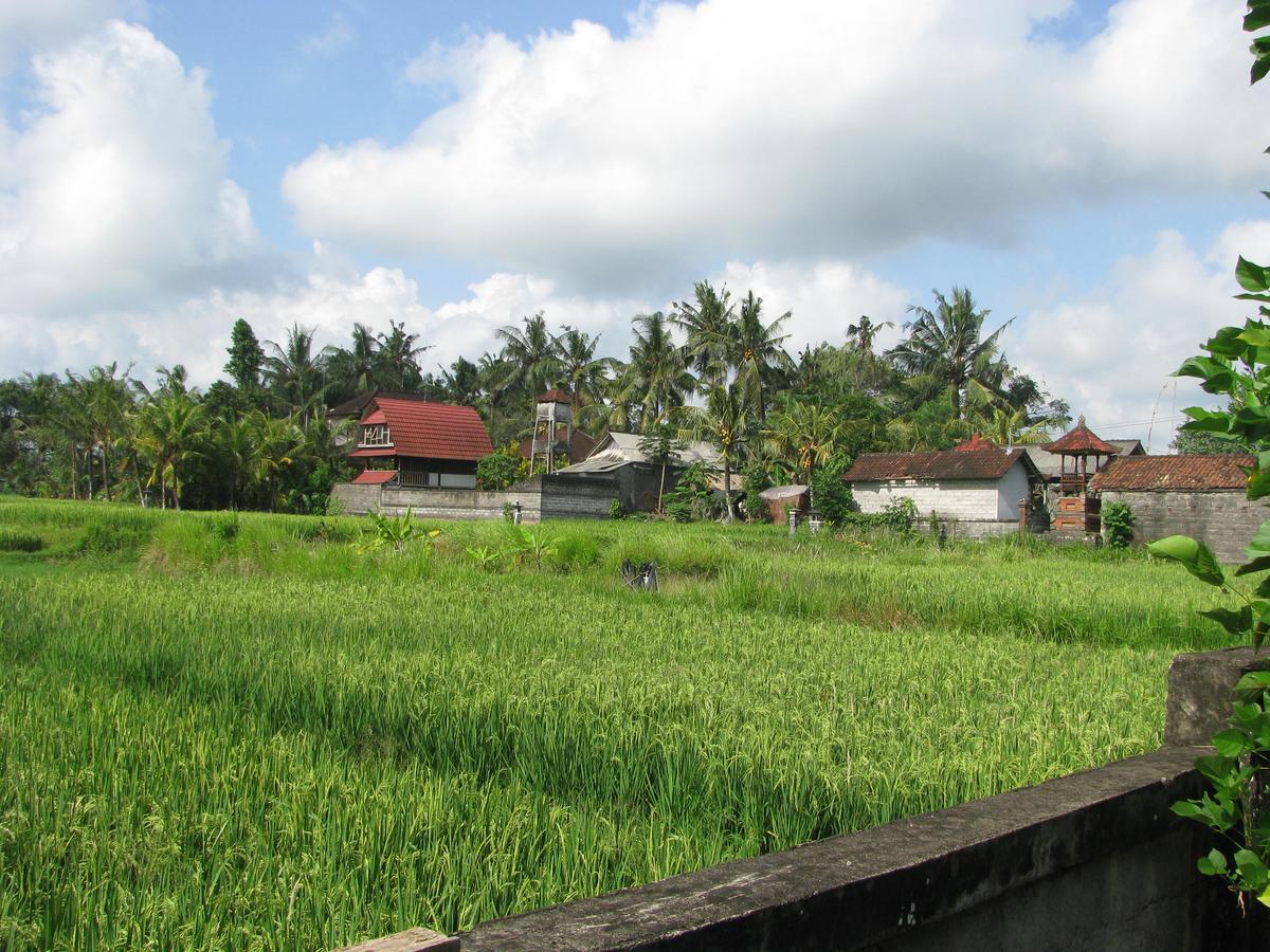 Pondok Mesari House Убуд Екстериор снимка